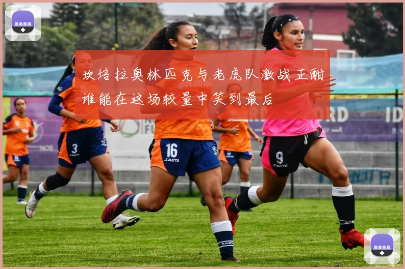 坎培拉奥林匹克与老虎队激战正酣谁能在这场较量中笑到最后